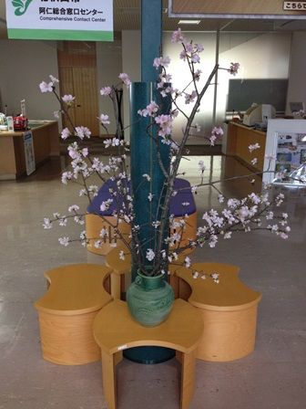 ①さくら