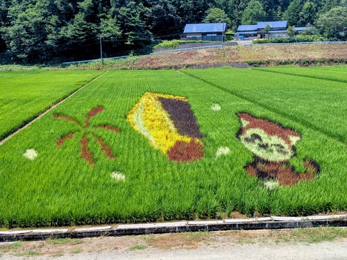 PXL_20250730_023734849~2