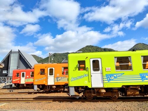 IMG20241020121703青