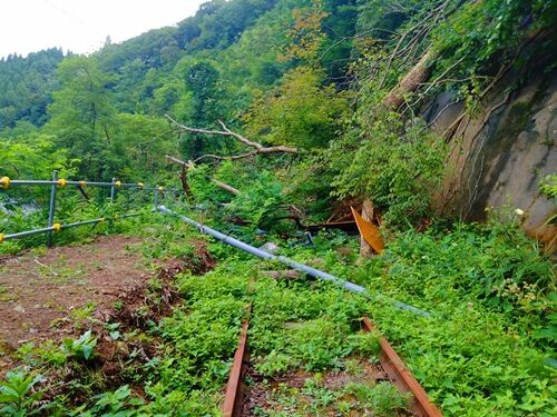 IMG20250812123050黒