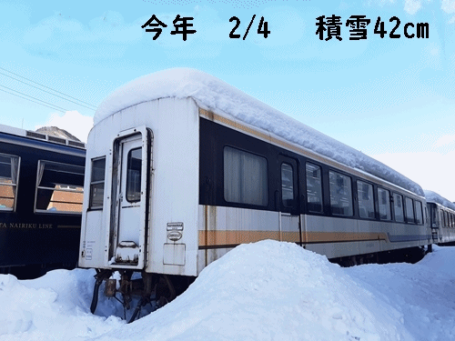 緑561515