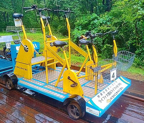 IMG20250812124410青