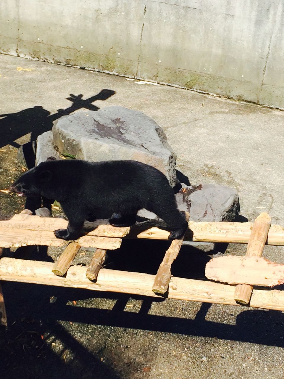 阿仁 あに 熊牧場 くまくま園 秋田内陸縦貫鉄道ブログ