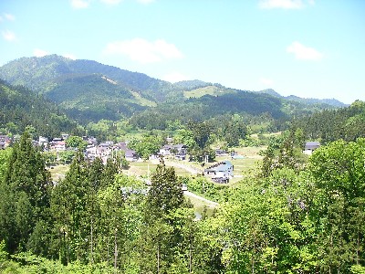 SANY0008