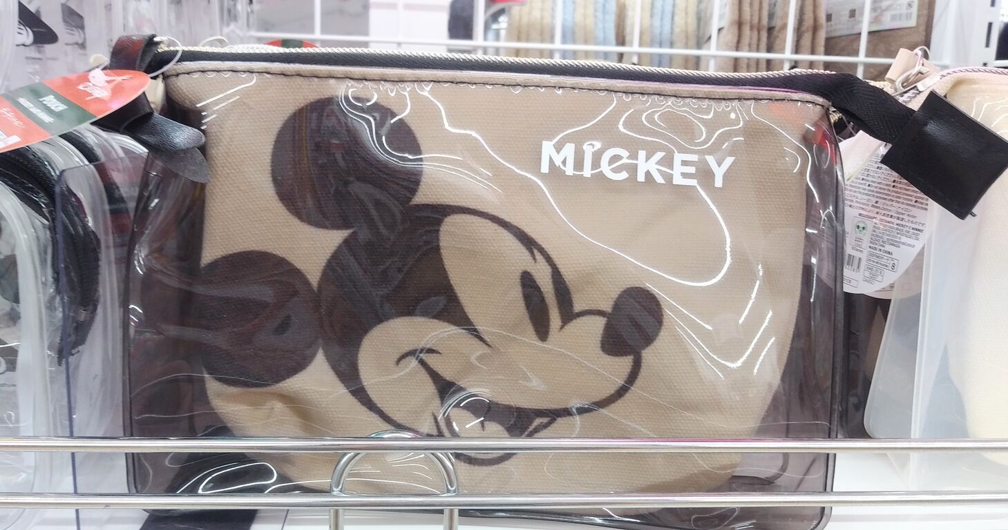 ダイソー ディズニー ポーチ ミッキー ミニー One Day