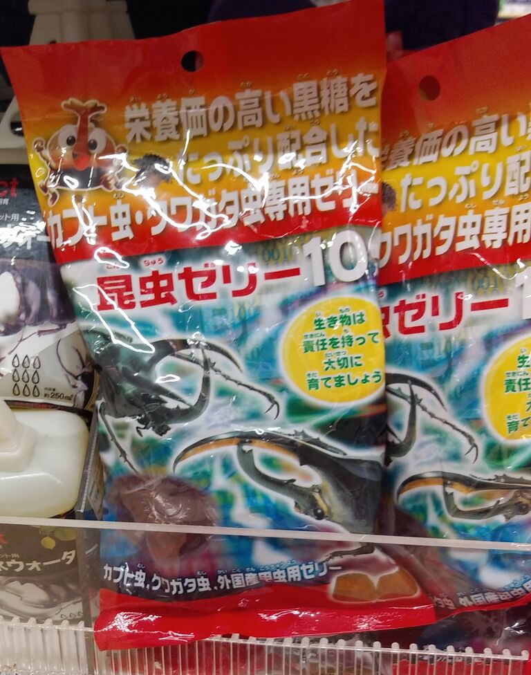 ワッツ 昆虫グッズ続々入荷 One Day