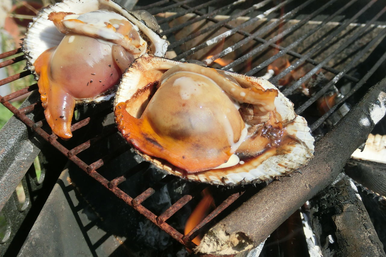 うん きっと お庭で普通にbbq 普通 ふぇねの妙な手記