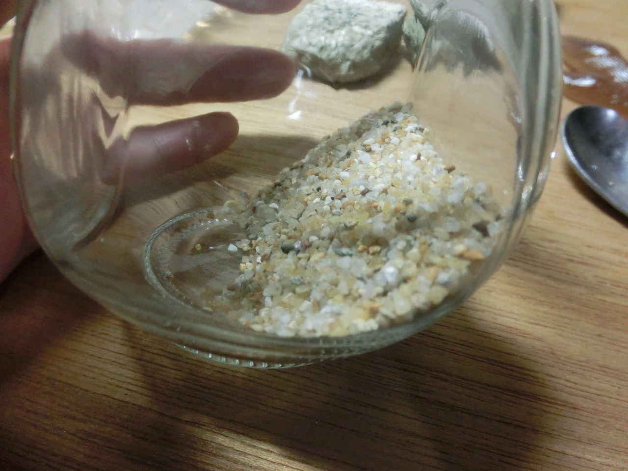 そういやナメクジとカタツムリを貰った 標本 ふぇねの妙な手記