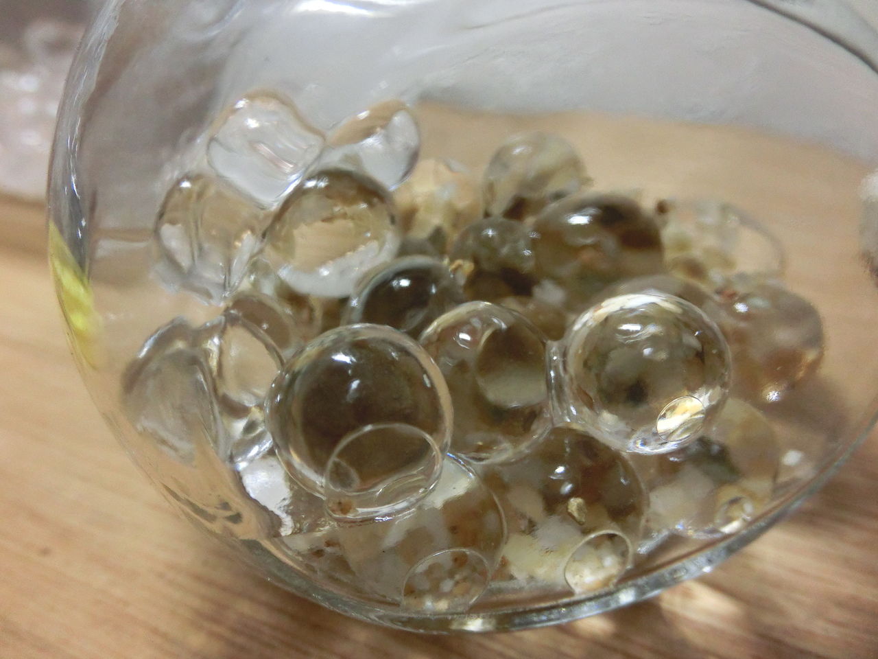 そういやナメクジとカタツムリを貰った 標本 ふぇねの妙な手記