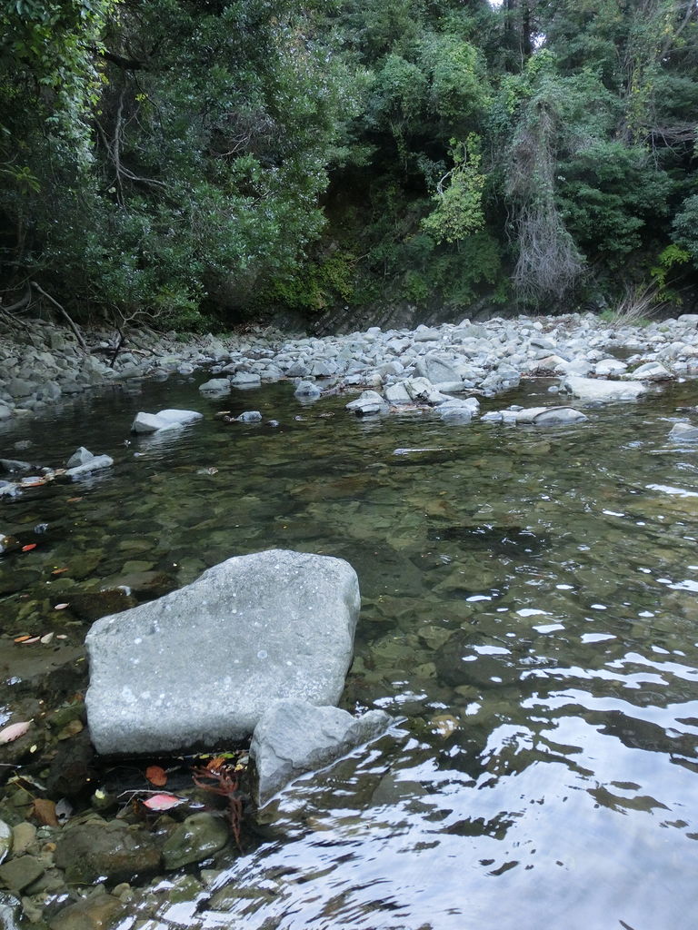 流れほとけドジョウ 地獄の業火に焼かれるがいい 蟹の素揚げ ふぇねの妙な手記