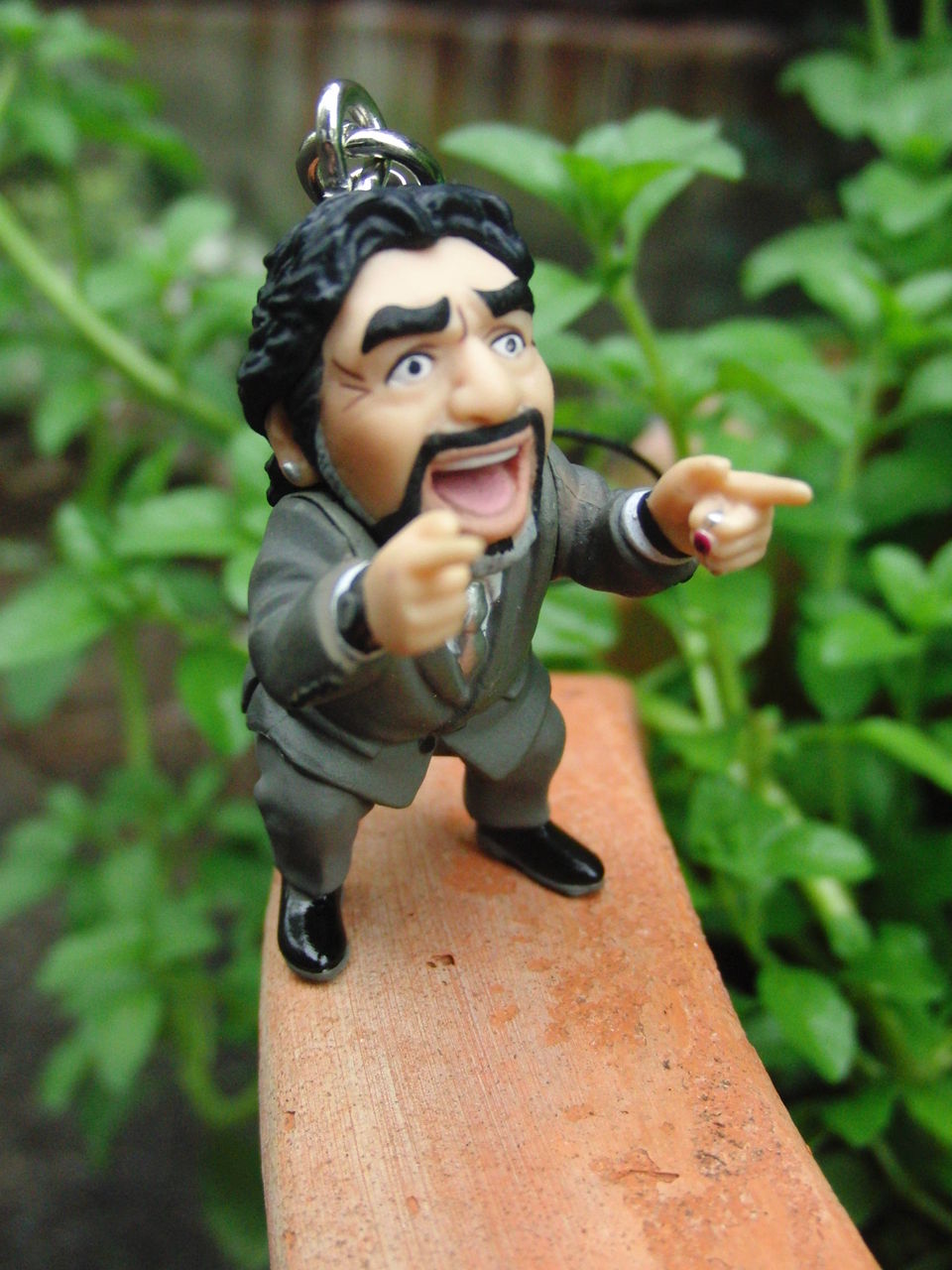 マラドーナ監督！ : Element（エレメント）／北浜アリーの雑貨屋店長日記