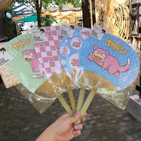 66456736_2137189076391375_8209150659916726272_n