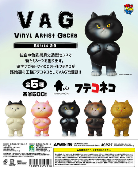 VAG29_�եƥ��ͥ�