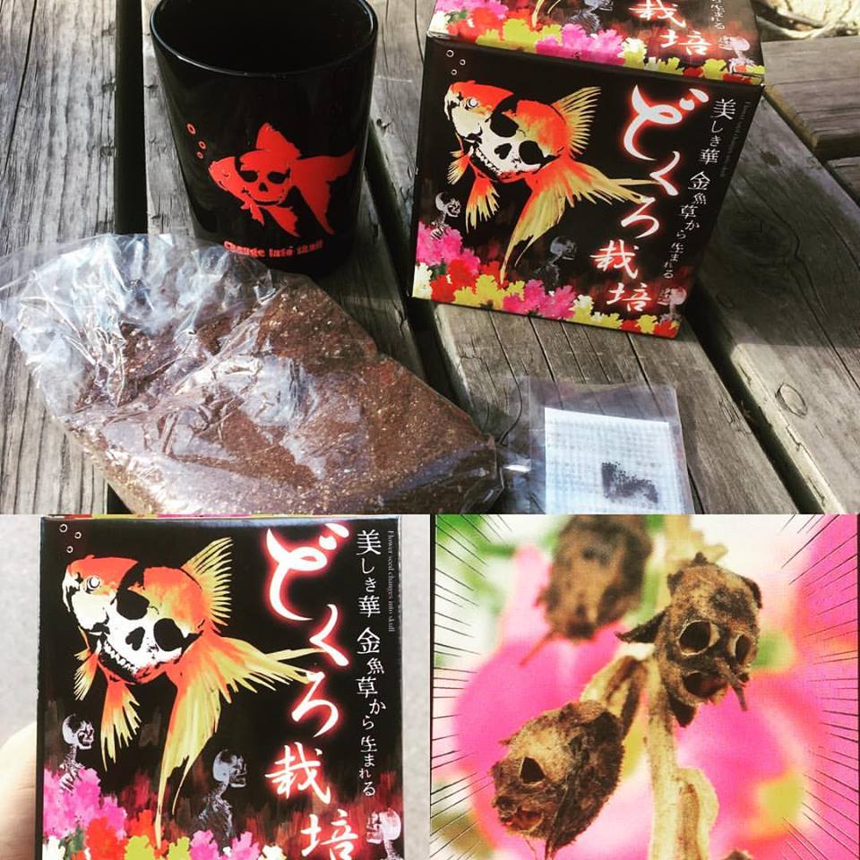 ハートのポットで育てましょう Element エレメント 北浜アリーの雑貨屋店長日記