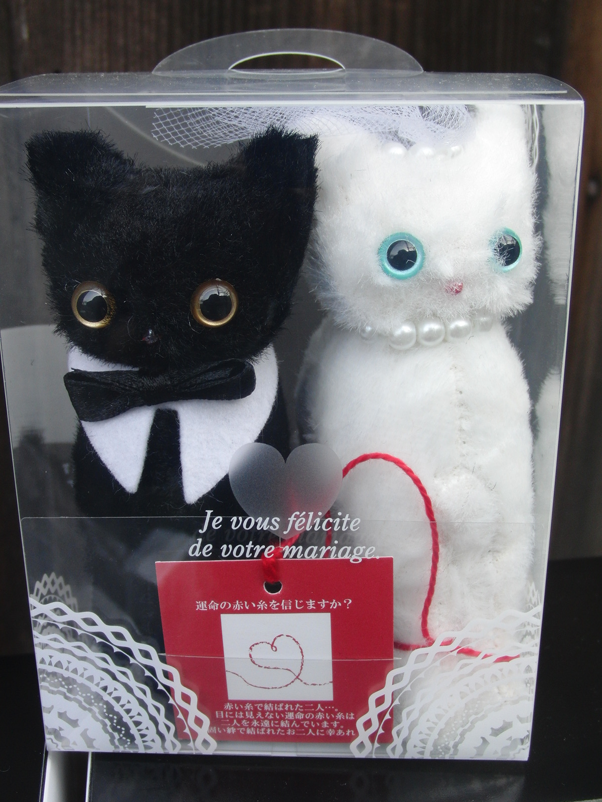 ねこ好き必見 Element エレメント 北浜アリーの雑貨屋店長日記