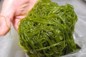 今年も入りました 海そうめん 割烹豊作は 和食とお酒と音楽のお店 なご道 に生まれかわりました 新潟の旬 日本海の海鮮ものが食べられる店 新潟県 村上市藤沢 旧荒川町 今年も入りました 海そうめん 割烹豊作は 和食とお酒と音楽のお店 なご道 に生まれかわりました 新潟の旬 日本海の海鮮ものが食べられる店 新潟県 村上市藤沢 旧荒川町