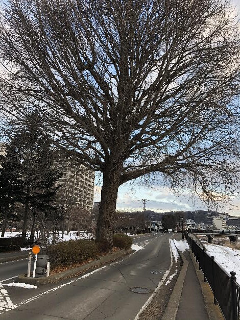 IMG_4979(1)