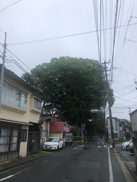 image8