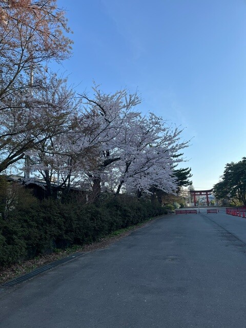image6
