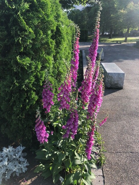 image14