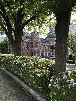 IMG_5693(1)