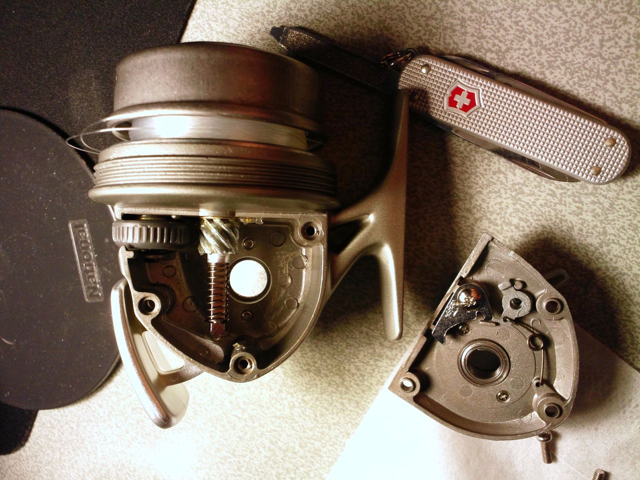 Daiwa Silvercast A100 Ginger Blog Daiwa Silvercast A100 Ginger Blog