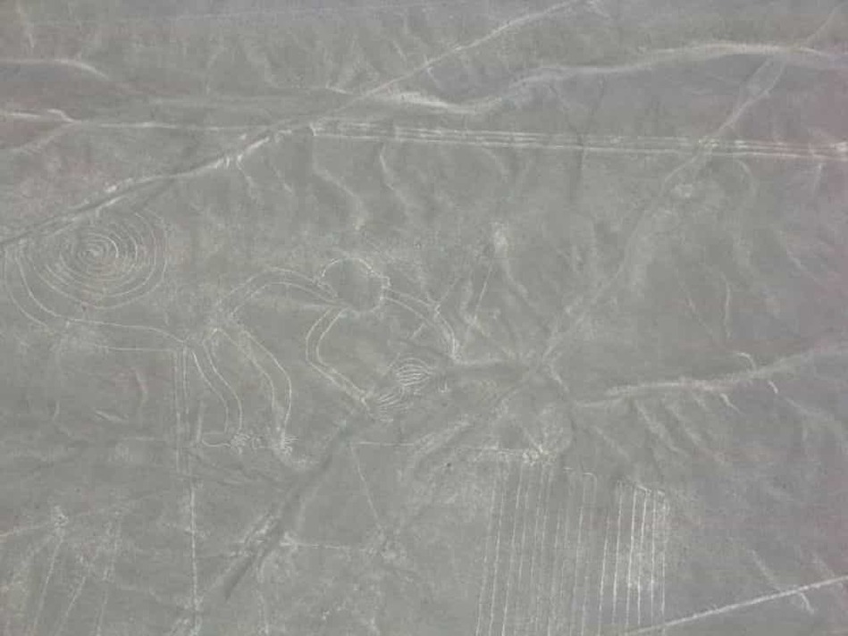 ナスカの地上絵　サル