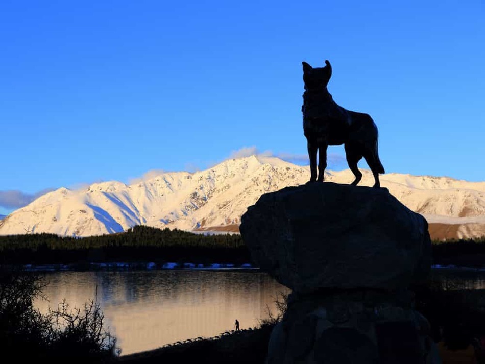 テカポ湖バウンダリー犬の像