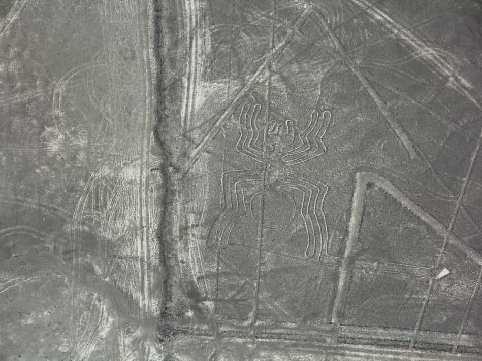 ナスカの地上絵　クモ