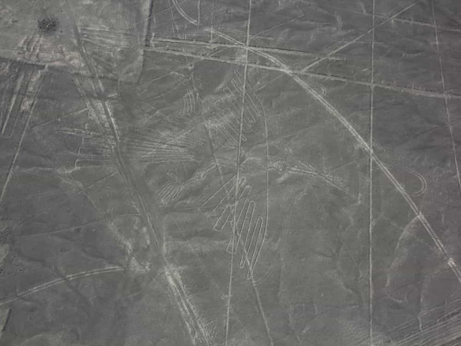 ナスカの地上絵　コンドル