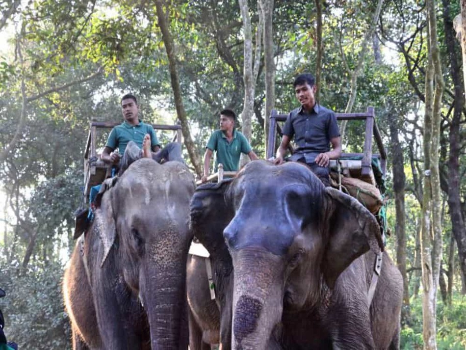 チトワン国立公園