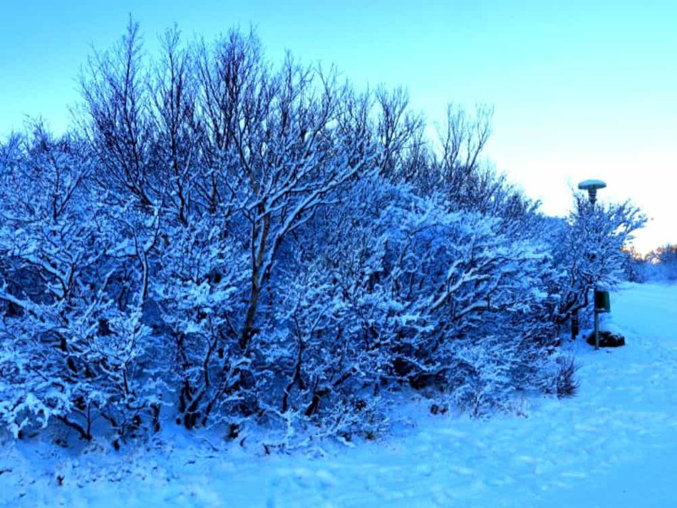 アイスランド　雪景色