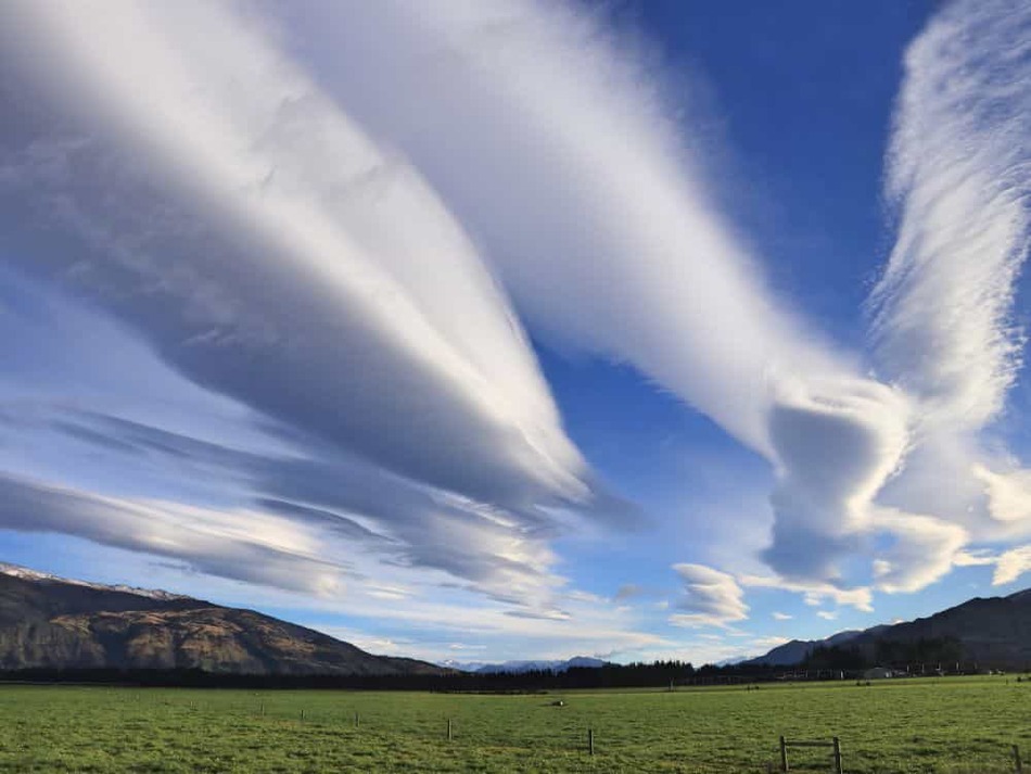 ニュージーランド