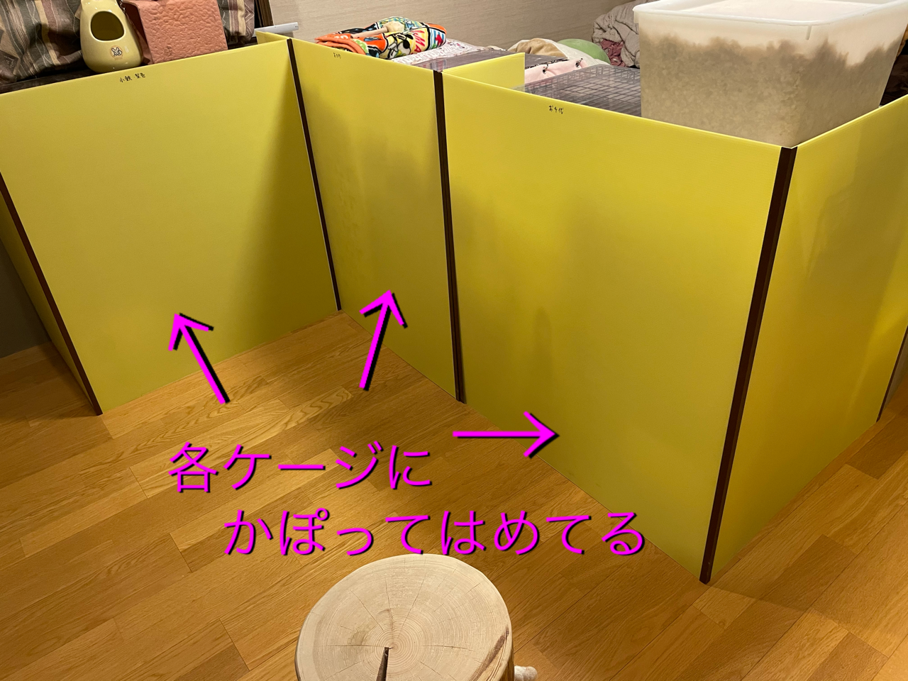 部屋んぽスペース対策 チンチラお千代の日常
