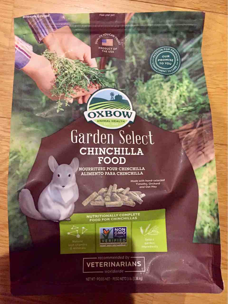 ペレットのその後 これなぁ んだ チンチラお千代の日常