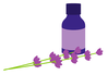 Aromatherapy-9