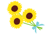 Sunflower-3