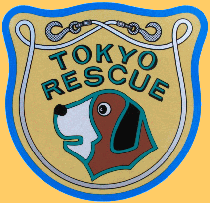 東京消防庁 救助隊 特別救助隊 ハイパーレスキュー ワッペン 東京消防