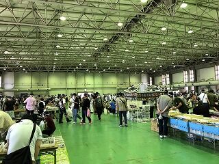 IMG_3594