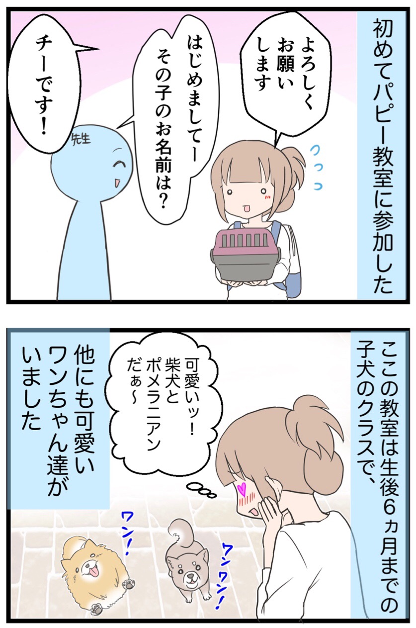 26 しつけ教室に初参加 愛犬の性格が 思ってたんと違う 笑 わたくしごとですが Powered By ライブドアブログ 26 しつけ教室に初参加 愛犬の性格が 思ってたんと違う 笑 わたくしごとですが Powered By ライブドアブログ