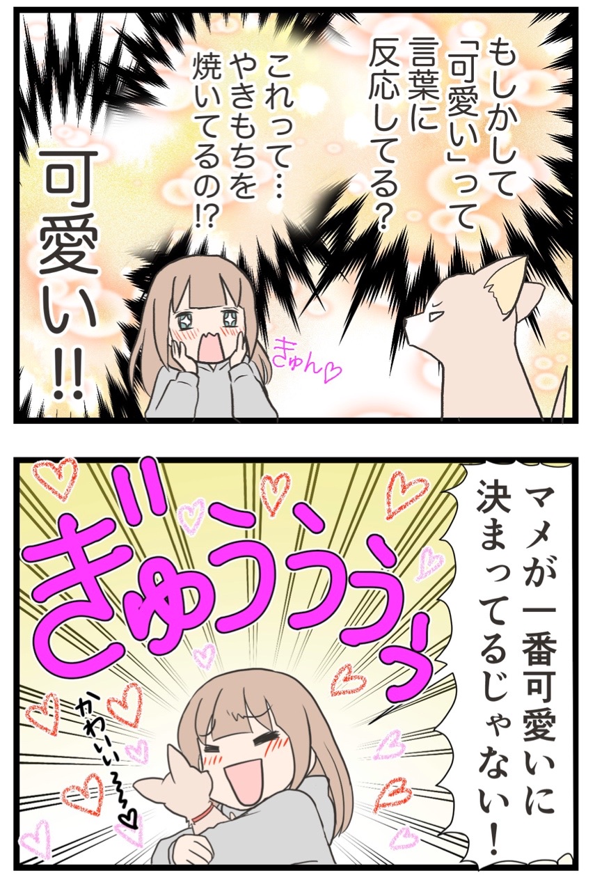 犬もヤキモチをやくのか 初代愛犬編 わたくしごとですが Powered By ライブドアブログ