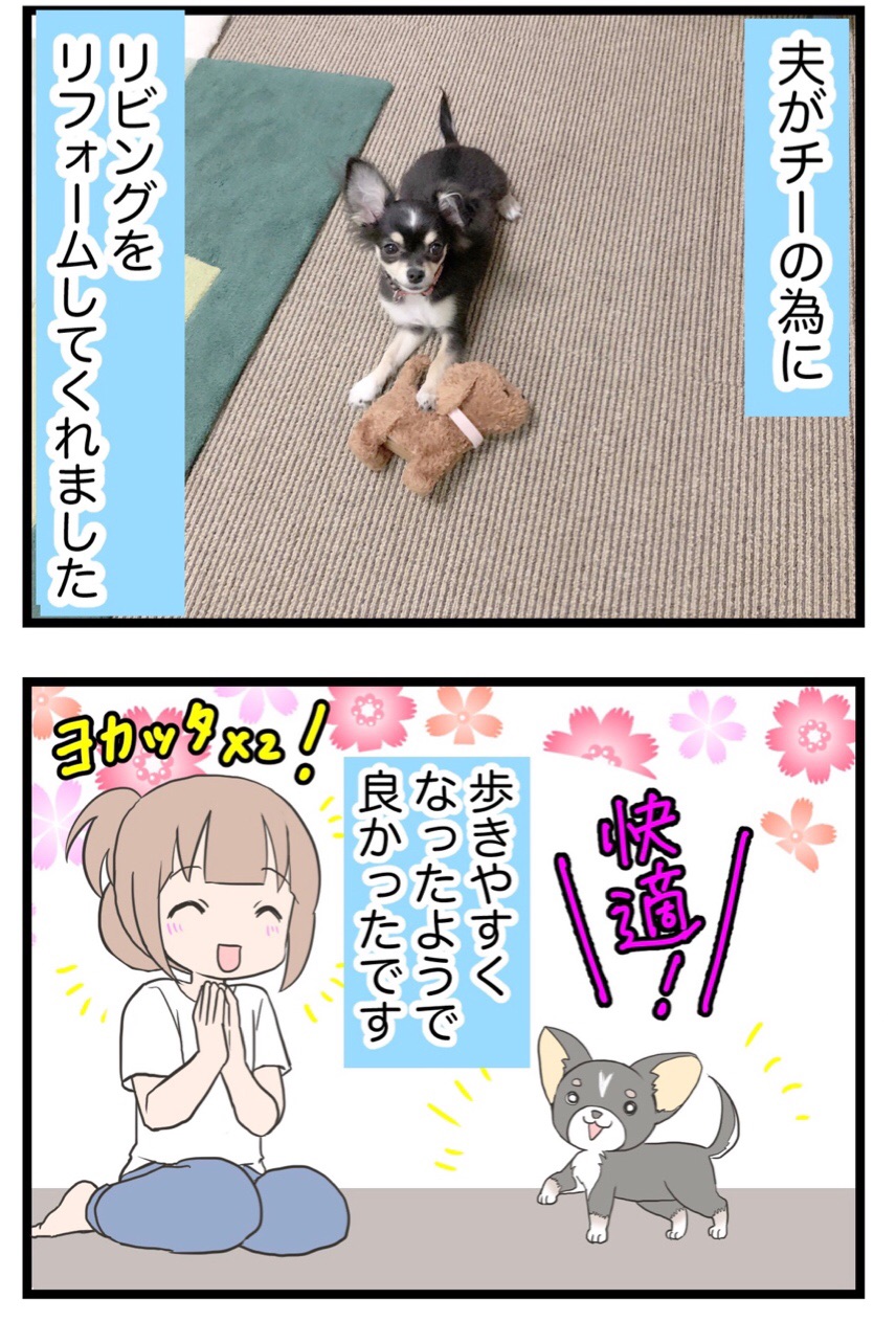 21 犬 飼い始めました フローリングを滑らないように わたくしごとですが Powered By ライブドアブログ 21 犬 飼い始めました フローリングを滑らないように わたくしごとですが Powered By ライブドアブログ