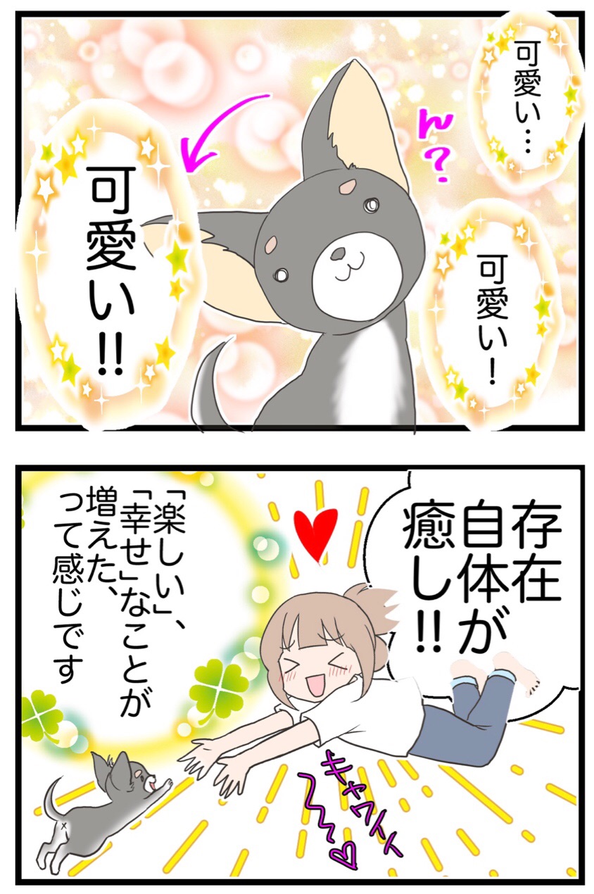 28 ペットを飼ったら鬱が良くなった わたくしごとですが Powered By ライブドアブログ 28 ペットを飼ったら鬱が良くなった わたくしごとですが Powered By ライブドアブログ