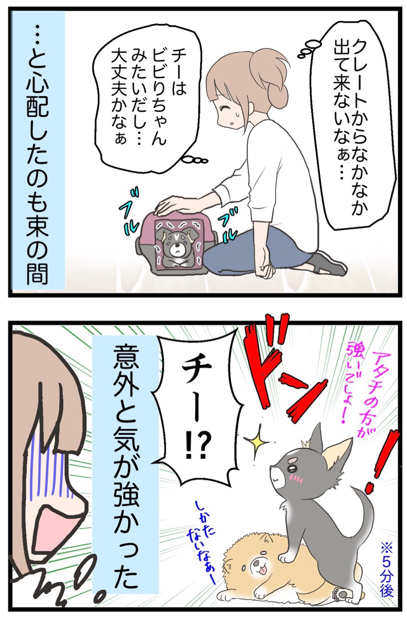 26 しつけ教室に初参加 愛犬の性格が 思ってたんと違う 笑 わたくしごとですが Powered By ライブドアブログ 26 しつけ教室に初参加 愛犬の性格が 思ってたんと違う 笑 わたくしごとですが Powered By ライブドアブログ