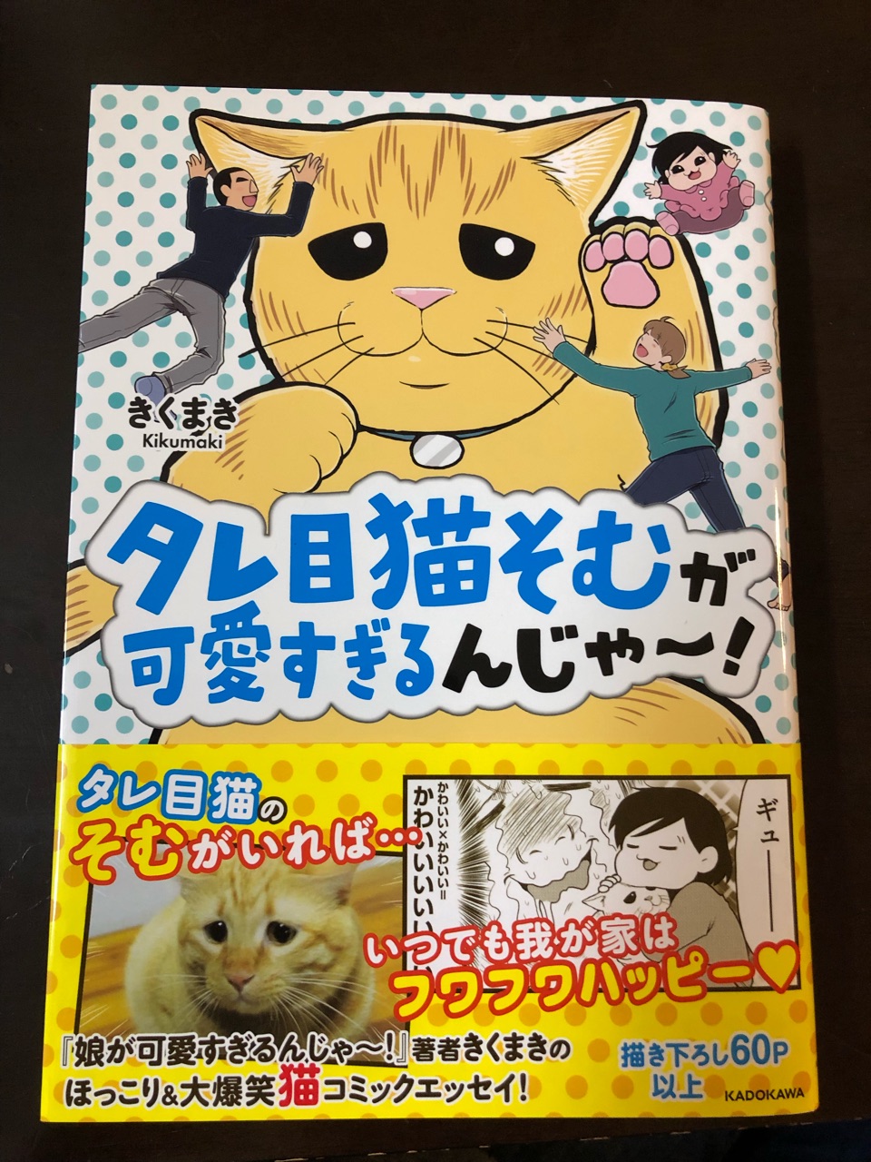 タレ目猫そむが可愛いすぎるんじゃ を読みました わたくしごとですが Powered By ライブドアブログ