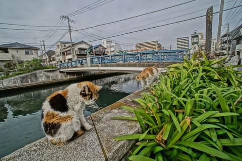 s_DSC04929