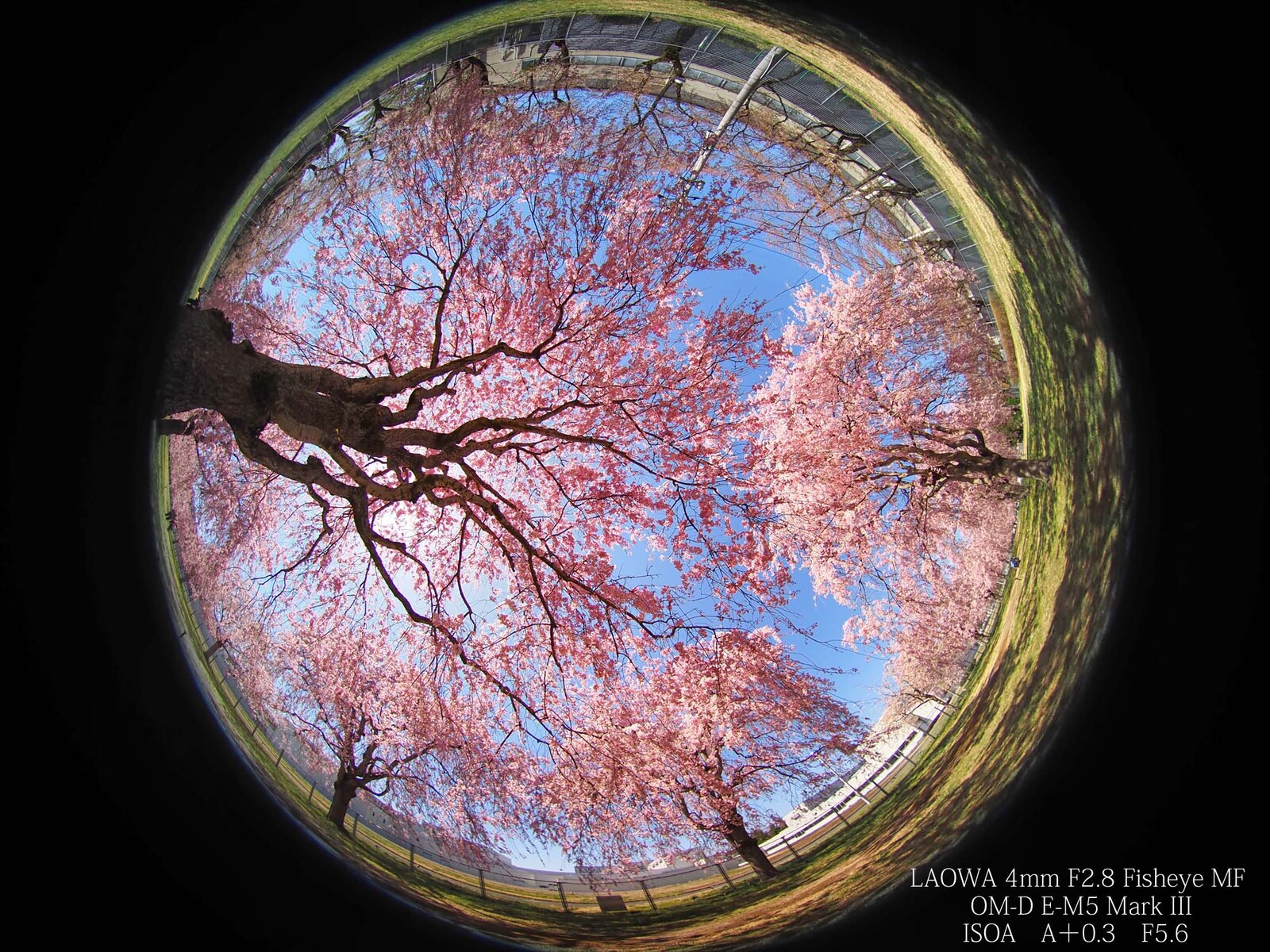 魚眼レンズ 中華製 ほぼ新品 【公式通販】