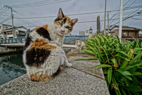 s_DSC04933