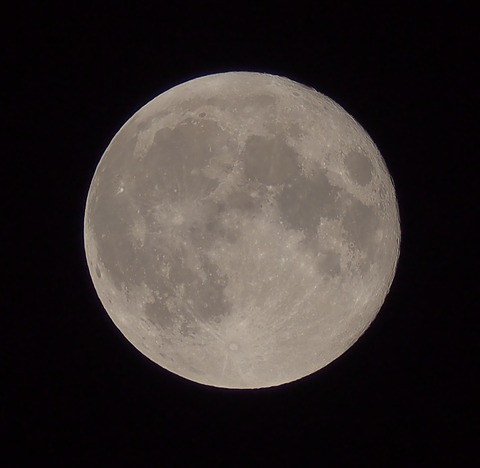 P7170131xst1