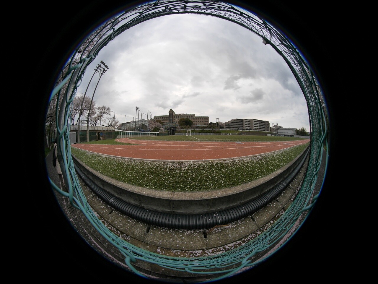 國學院大學付近 04 08 中川光学研究室ブログ